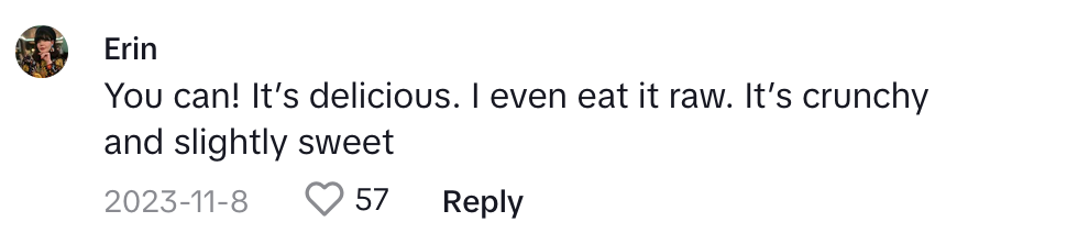 TikTok comment